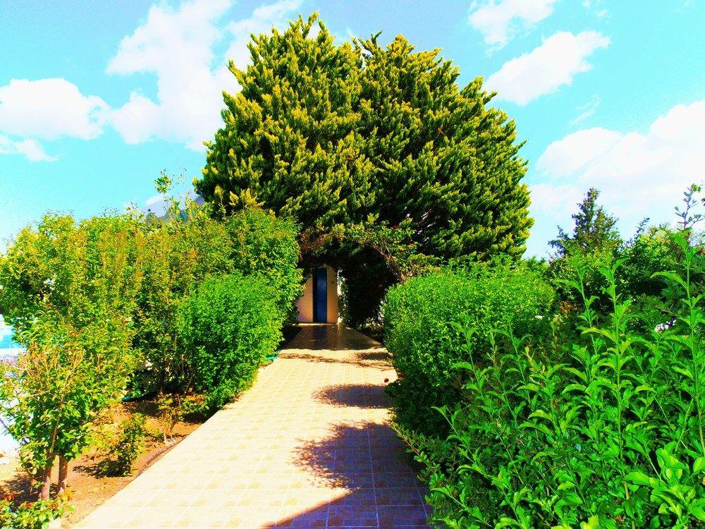 Belvita Hotel Kolymbia Exterior photo